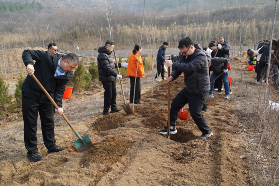 1773308927148469.png 春风十里添新绿,红色热土忆初心——监理公司工会小组组织开展植树节暨红色教育主题活动(秦主席审)338.png